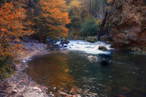 Deer Creek In Autumn
